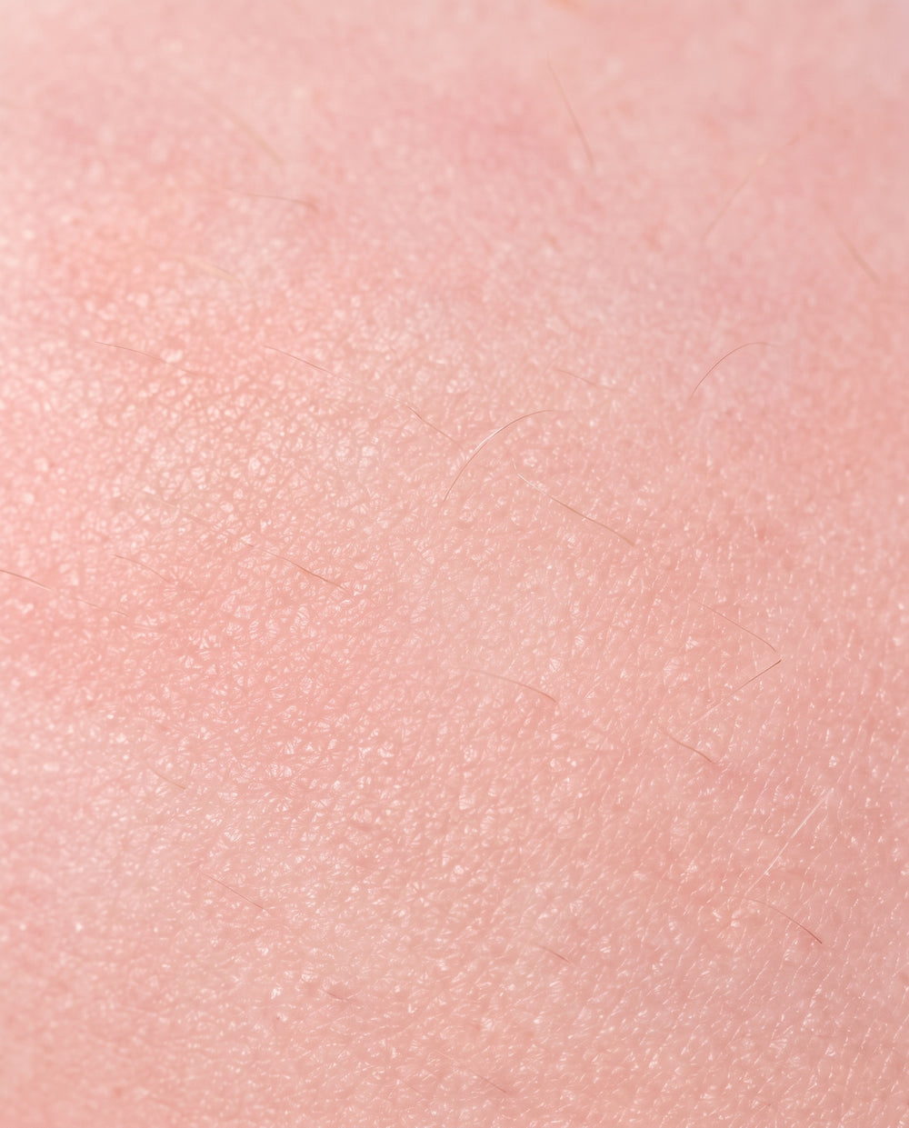 Leg close-up, week 8, 3:4